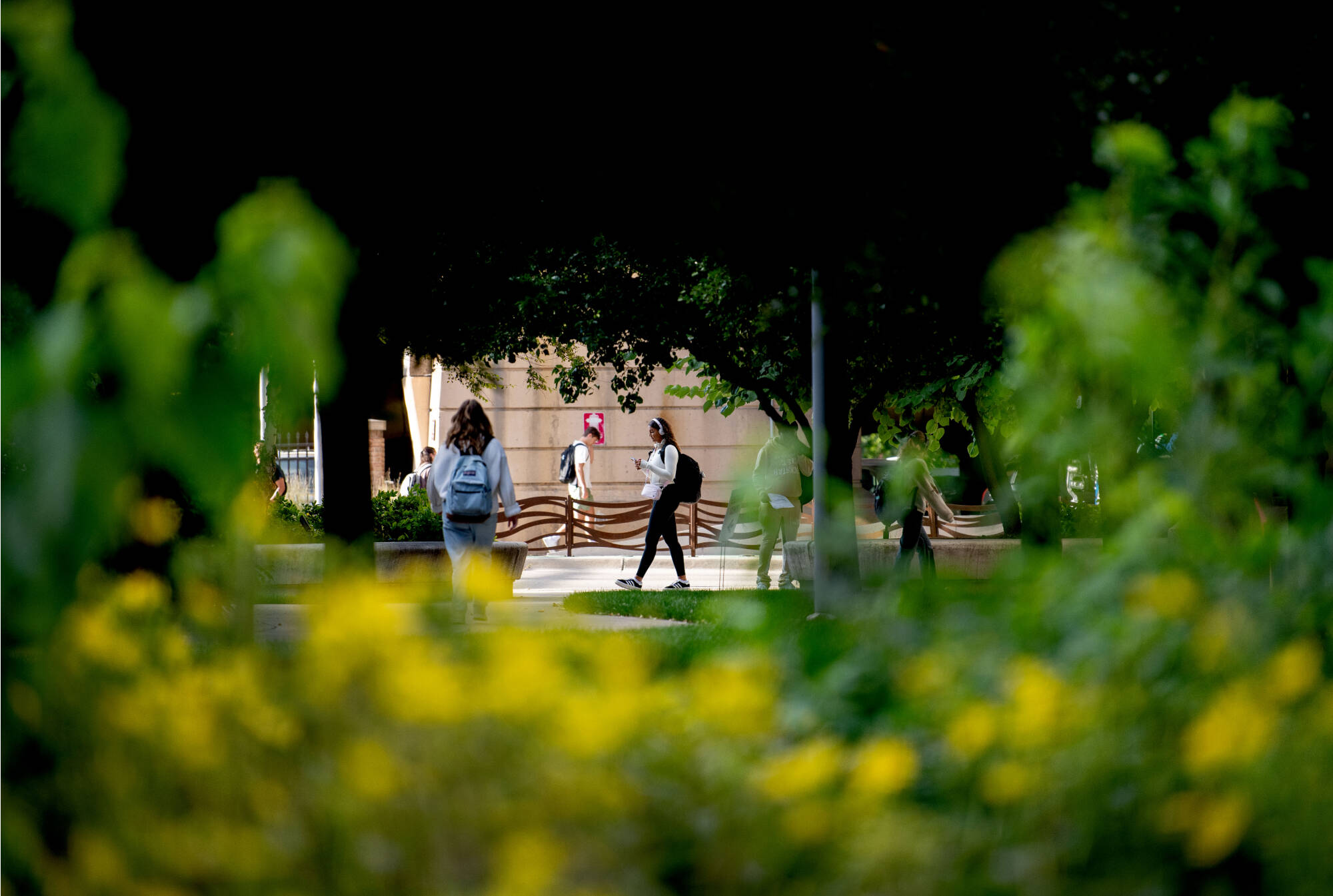 Johanna Tillman, a sophomore elementary education major, looks on her phone for directions while reviewing where her classes will be on Grand Valley’s City Campus August 25. Tillman, who is also on the volleyball team, said she was mapping out her cl...